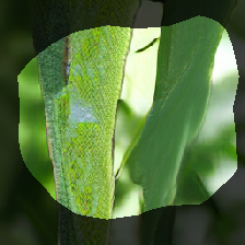 layer0-954