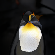 layer1-231