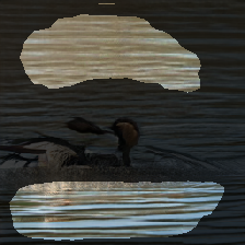 layer2-249