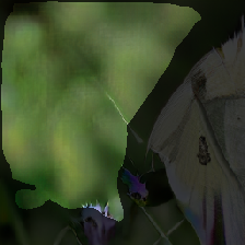 layer2-249