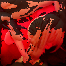 layer4-115