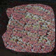 layer1-232
