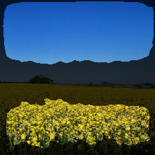 layer2-250