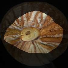 layer0-957