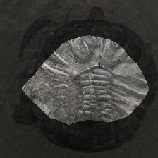layer0-957