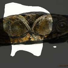 layer0-958