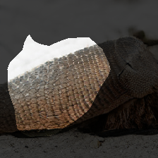 layer0-958