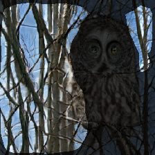 layer1-236