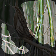 layer1-236
