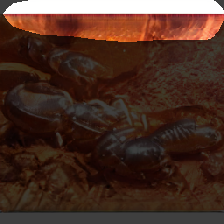 layer0-1417