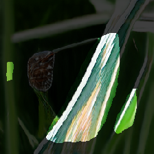 layer2-254