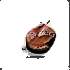 layer4-121