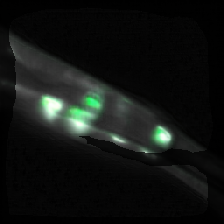 layer2-257