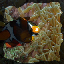 layer2-257