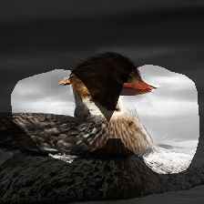 layer1-614