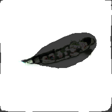layer2-258