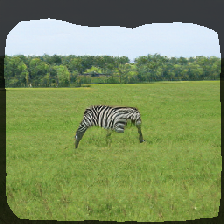 layer1-241