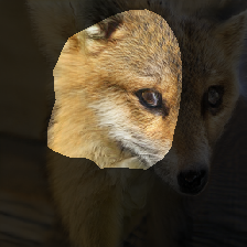 layer1-242