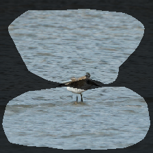 layer0-968