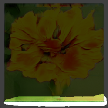 layer2-591