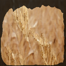layer2-983