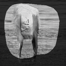 layer0-809