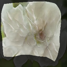 layer0-1353