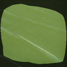 layer0-1403