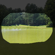 layer0-868