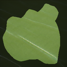 layer0-1307