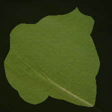 layer0-1307
