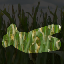 layer0-524