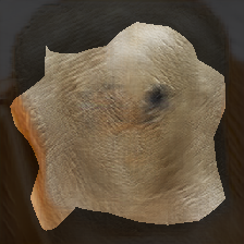 layer0-1730