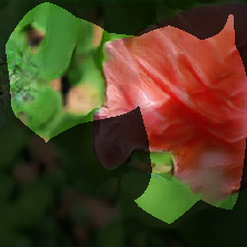 layer0-1730