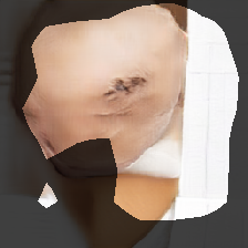 layer0-1730