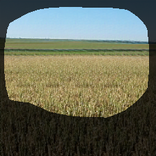 layer0-953
