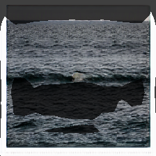 layer1-572
