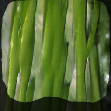 layer1-922