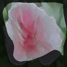 layer0-1131