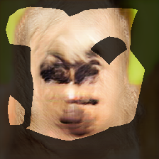layer0-1131
