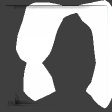layer0-1131