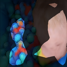 layer0-1131