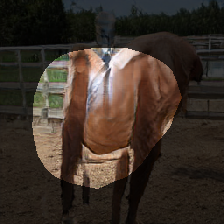 layer0-378