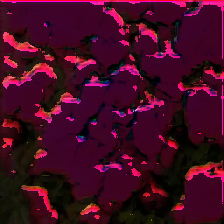 layer5-84
