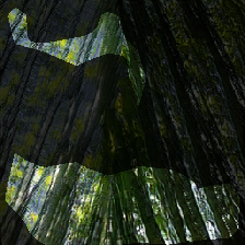 layer0-485