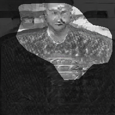 layer0-983