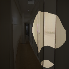 layer0-1005