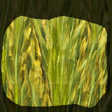 layer0-441