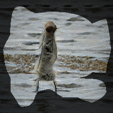 layer0-389