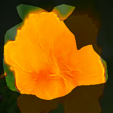 layer0-1231